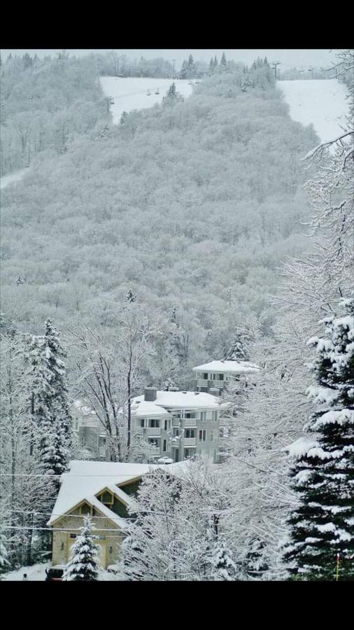 Ski-In, Ski-Out Chaleureux Studio Loft Au Pied Des Pistes De Ski Stoneham Exterior foto